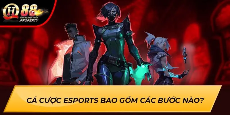 Cá cược Esports bao gồm các bước nào? Cá cược Esports bao gồm các bước nào?