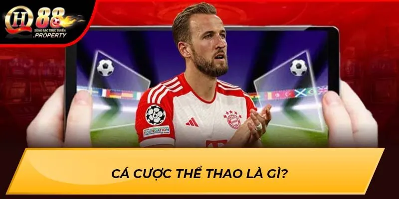 Cá cược thể thao là gì?