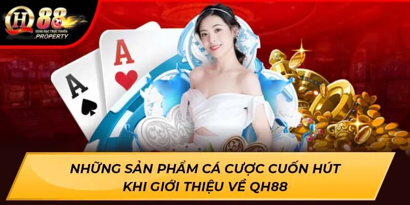 Những sản phẩm cá cược cuốn hút khi giới thiệu về QH88