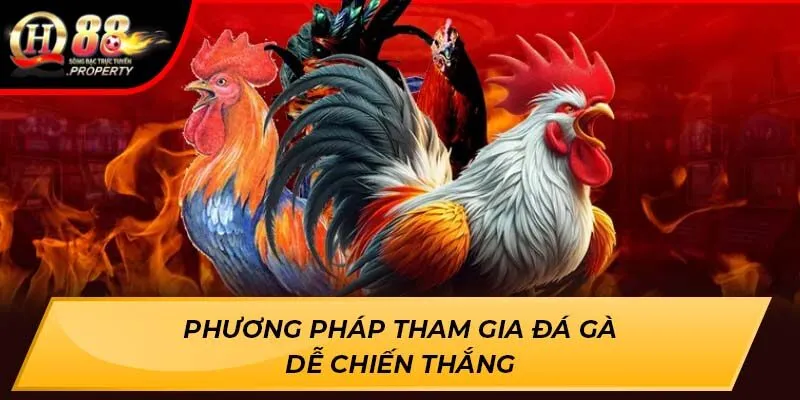 Phương pháp tham gia đá gà dễ chiến thắng Phương pháp tham gia đá gà dễ chiến thắng