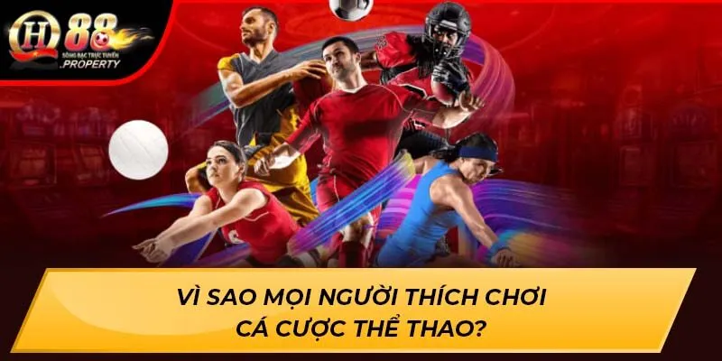 Vì sao mọi người thích chơi Cá Cược Thể Thao? Vì sao mọi người thích chơi Cá Cược Thể Thao?